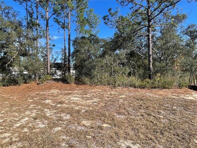 11475 N Kenney Loop, Dunnellon, FL 34433 - photo 4