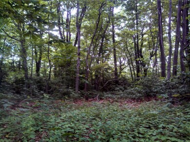 TBD Hughes Shelter Rd, Meadows of Dan, VA 24120 - photo 5