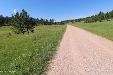TBD Reynolds Rd, Sundance, WY 82729 - photo 4