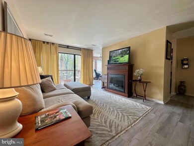 11208 Chestnut Grove Square unit 11208-111, Reston, VA 20190 - photo 7