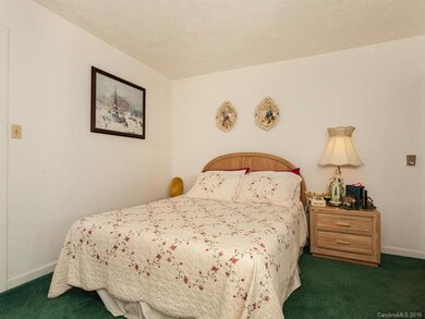 1500 N Main St, Hendersonville, NC 28792 - photo 7