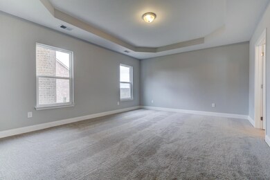 Master bedroom with trey ceiling