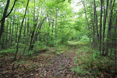 41 Patriot Ln, Litchfield, ME 04350 - photo 6