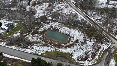 0 Hencoop Hollow Rd unit B1651705, Ellicottville, NY 14731 - photo 5