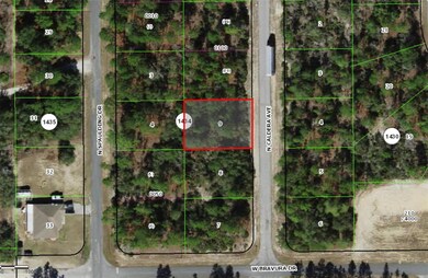 10660 N Caldera Ave, Citrus Springs, FL 34433 - photo 4