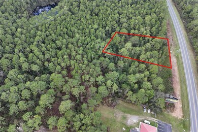 0 Hwy 40, Ocala, FL 34470 - photo 3