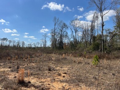 Hardwoods along seasonal creek