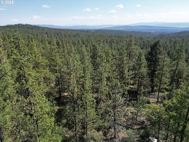 0 Sandpiper Dr unit 2300, Beatty, OR 97621 - photo 3