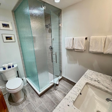 301 S Pine St unit 219, Telluride, CO 81435 - photo 5