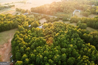 8165 Highway 81, Bethlehem, GA 30620 - photo 7