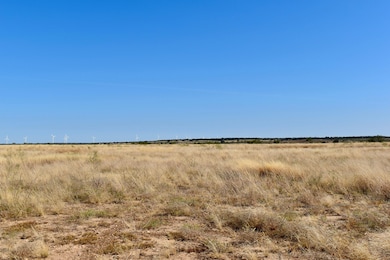 85 Private Road 527, Brady, TX 76825 - photo 7