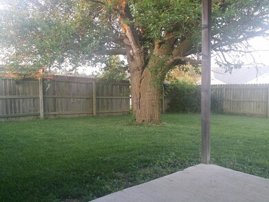 1392 Matthew back yard