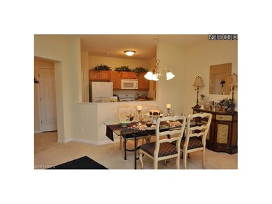 717 Aqua Marine Blvd unit 717, Avon Lake, OH 44012 - photo 6