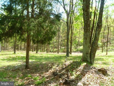 15 Edward Kidwell Rd Noland Rd, Slanesville, WV 25444 - photo 4