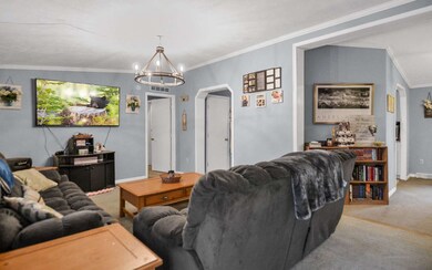 296 New Hope Rd, Ellijay, GA 30540 - photo 4