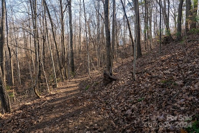 0000 Perrion Ave unit 18, Weaverville, NC 28787 - photo 5