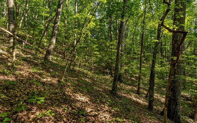 L11 Mattie Ln, Blairsville, GA 30512 - photo 7