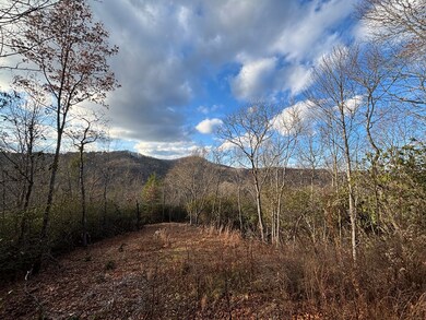 2.02 AC Viewforth Place, Topton, NC 28781 - photo 5