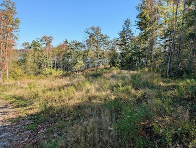 PXL_20251006_165320662