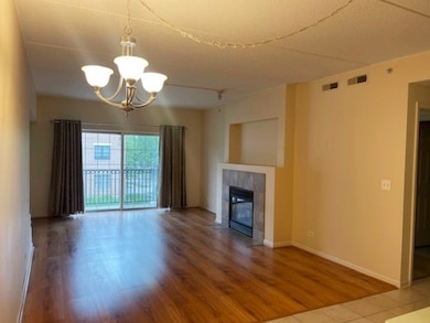Spring Ave Station unit 303, La Grange, IL 60525 - photo 5