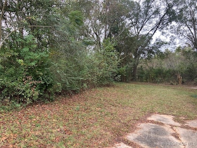 139 Brookfield Rd, Ozark, AL 36360 - photo 3