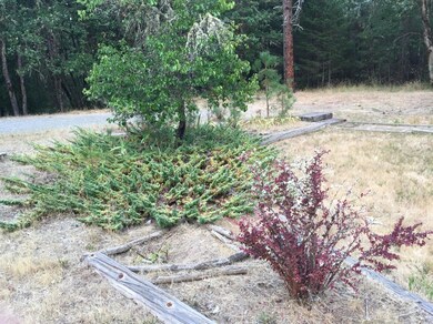 4918 Pleasant Creek Rd, Rogue River, OR 97537 - photo 5