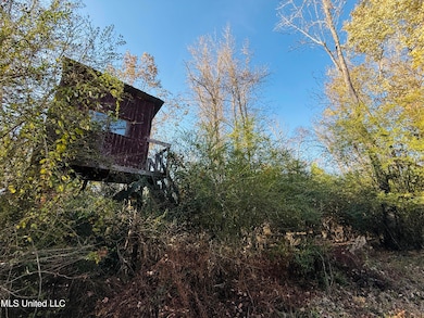 0 County Road 4210, Sallis, MS 39160 - photo 6