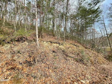 Lot 37R Sugar Mountain Way, Pigeon Forge, TN 37863 - photo 7