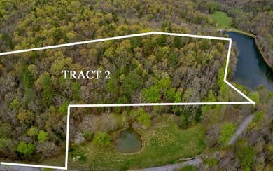 Lot 2 Doublehead Gap Rd, Blue Ridge, GA 30513 - photo 3