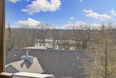 142 Homewood Ln, Kimberling City, MO 65686 - photo 4