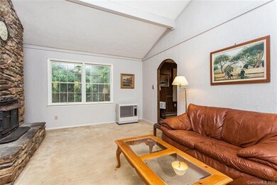 670 Turkey Creek Rd, Leicester, NC 28748 - photo 7