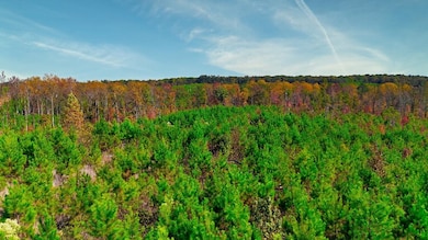 View of local wilderness