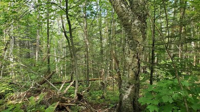 0 Fellows Rd unit 4887186, Guildhall, VT 05905 - photo 6