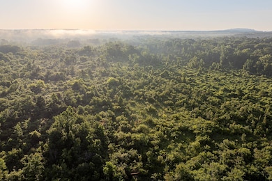 000 State Highway 155, Frankston, TX 75763 - photo 3