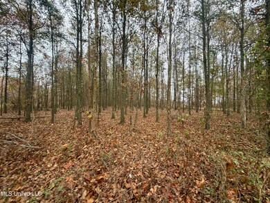 0 Fairview Rd, Charleston, MS 38921 - photo 4