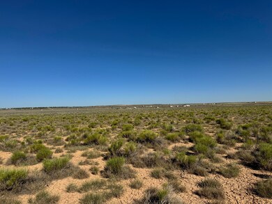 IMG_4484