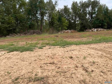 21302 Holland Rd, Athens, AL 35614 - photo 5