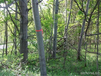 Property Lines are Marked