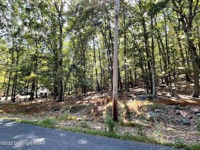 0 Lot 152 Chipmunk Rd unit PM-100595, Bushkill, PA 18324 - photo 6