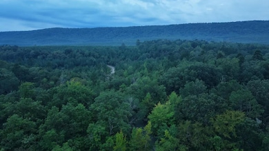 Lowrie Loop, Smithville, OK 74957 - photo 4