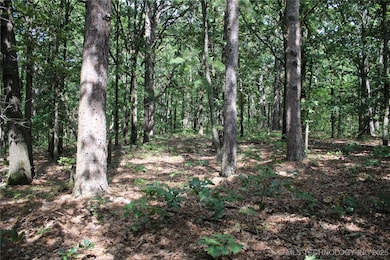 243 S 620 Rd, Jay, OK 74346 - photo 3