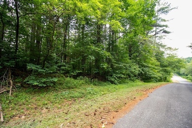 Lot 28 Manor House Dr, Laurel Fork, VA 24352 - photo 2