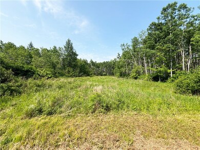 Food plot area