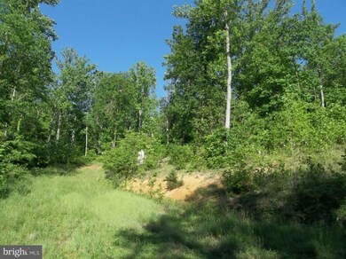 0 Buck Mountain Rd unit 1000074867, Bentonville, VA 22610 - photo 4