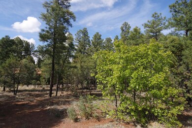 In Hacienda Pines!