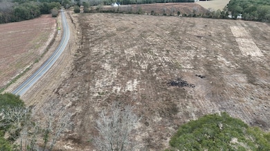 Lot 5 County Road 17, Headland, AL 36345 - photo 2