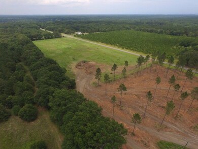 0 Whipples Crossing Rd unit 21448, Dudley, GA 31022 - photo 5