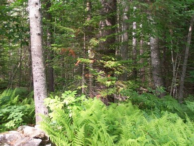 0 Townsend Ln unit 1226135, Boothbay, ME 04537 - photo 3