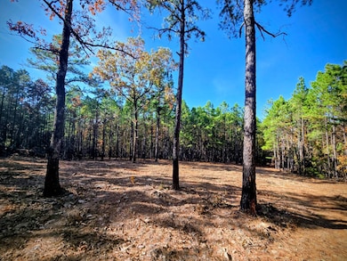 60 SE 136th Rd, Bengal, OK 74563 - photo 6