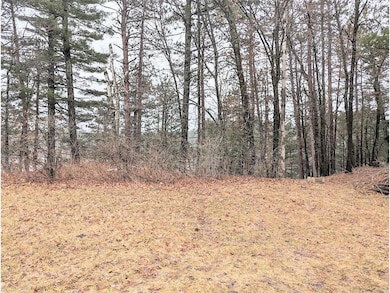 Lot 26 10th Ave, Chetek, WI 54728 - photo 5
